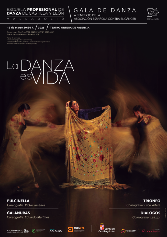 Palencia Danza es Vida AECC 130325