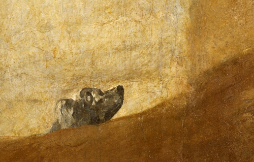 Lengua de Vaca